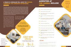 Pesach-with-Purpose-Brochure-2