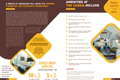 Pesach-with-Purpose-Brochure_Page_2